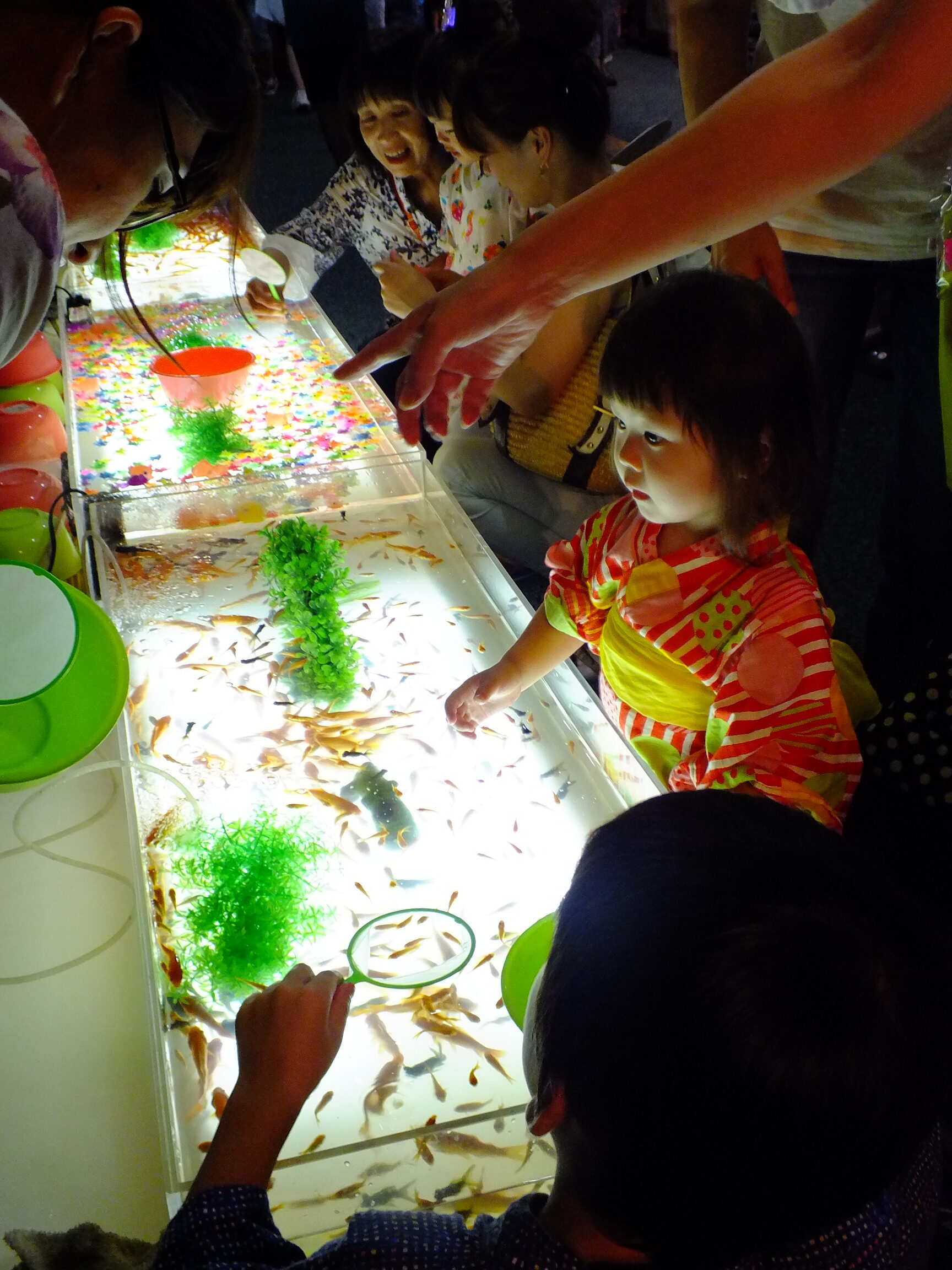 Kingyo-sukui, el tradicional juego japonés de pesca de peces dorados, en el que los niños utilizan redes de papel para atraparlos en un festival de verano.