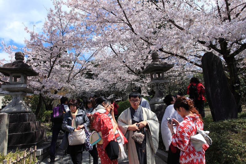 Cerezos en flor en el templo Kiyomizu-dera de Kioto, con visitantes vestidos con kimonos tradicionales disfrutando de la primavera. Un ejemplo perfecto de fotografía con kimonos de temporada en un templo japonés.
