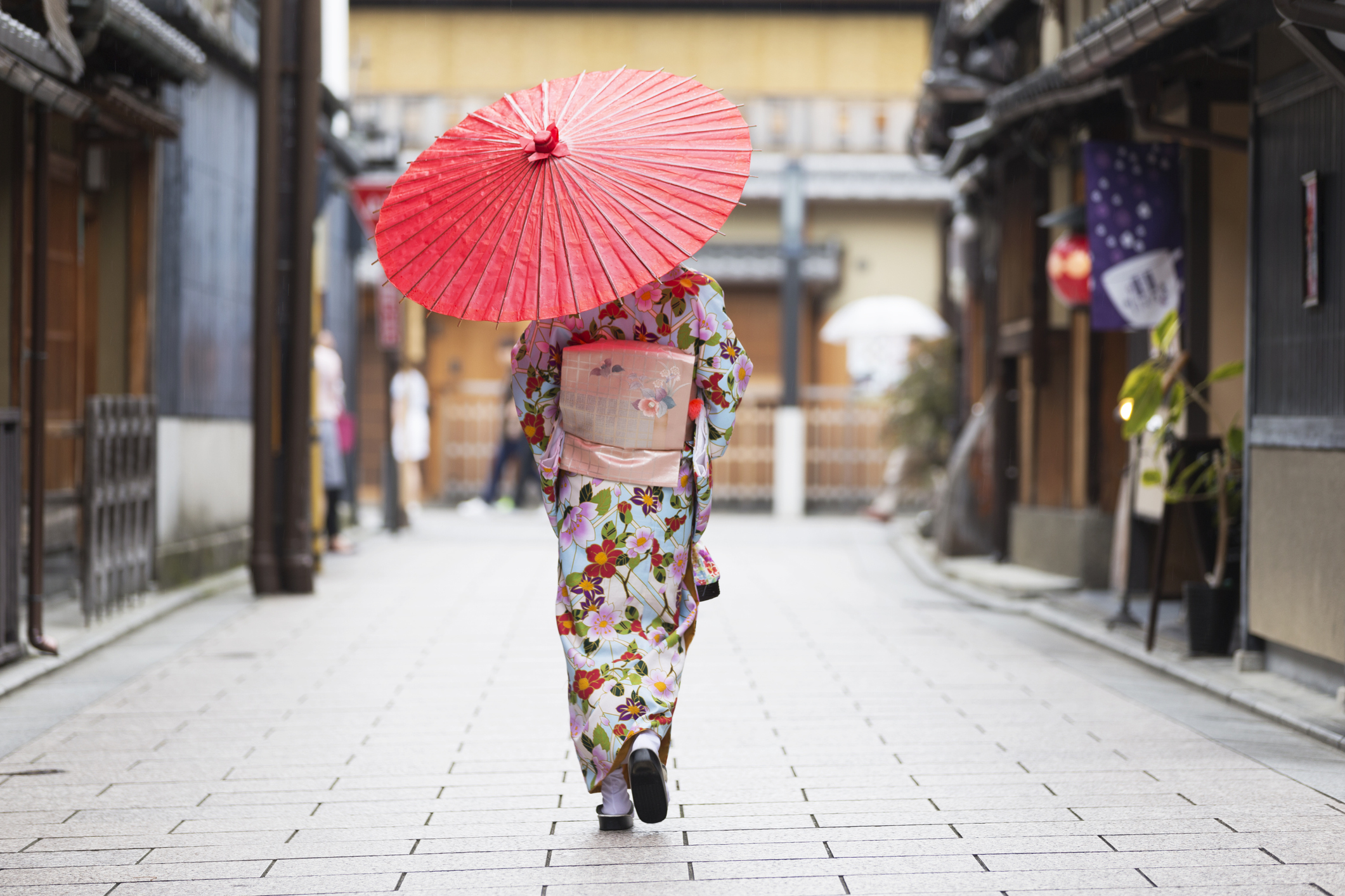 Hermosa mujer con un kimono colorido rodeada de flores de cerezo en Kioto, demostrando la perfecta armonía entre la vestimenta tradicional y la belleza estacional.