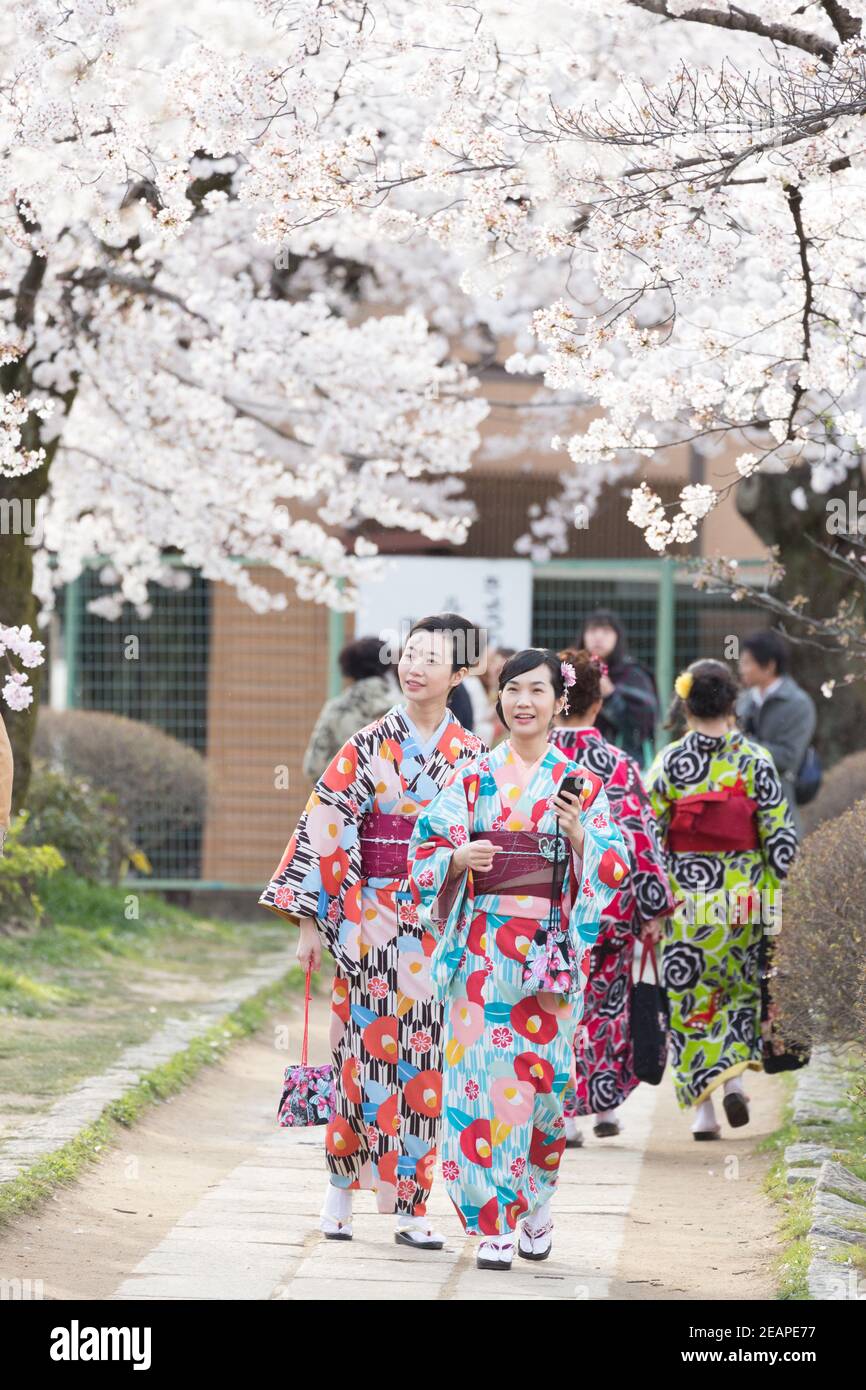 Dos mujeres con kimonos vibrantes caminan por el apacible Sendero del Filósofo rodeadas de flores de cerezo, creando una escena serena y contemplativa.