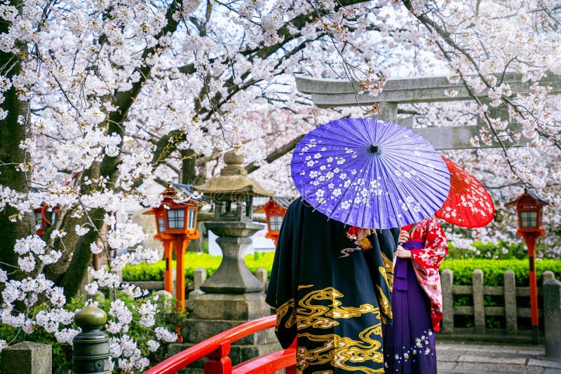 Turista con kimono japonés tradicional de pie bajo hermosas flores de cerezo en primavera en un templo de Kioto, mostrando una composición fotográfica de kimono primaveral perfecta con fondo de sakura