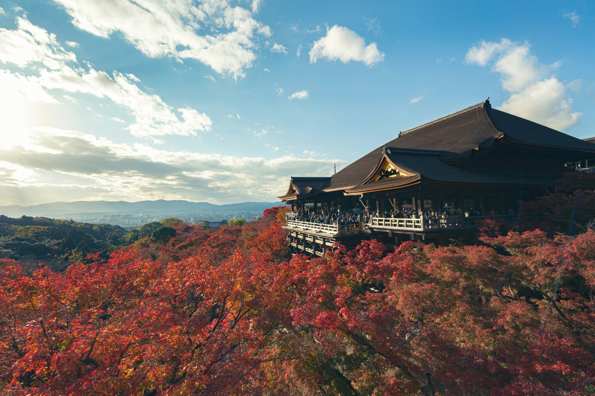 Usar kimono en otoño: colores que combinan con Momiji en Kioto