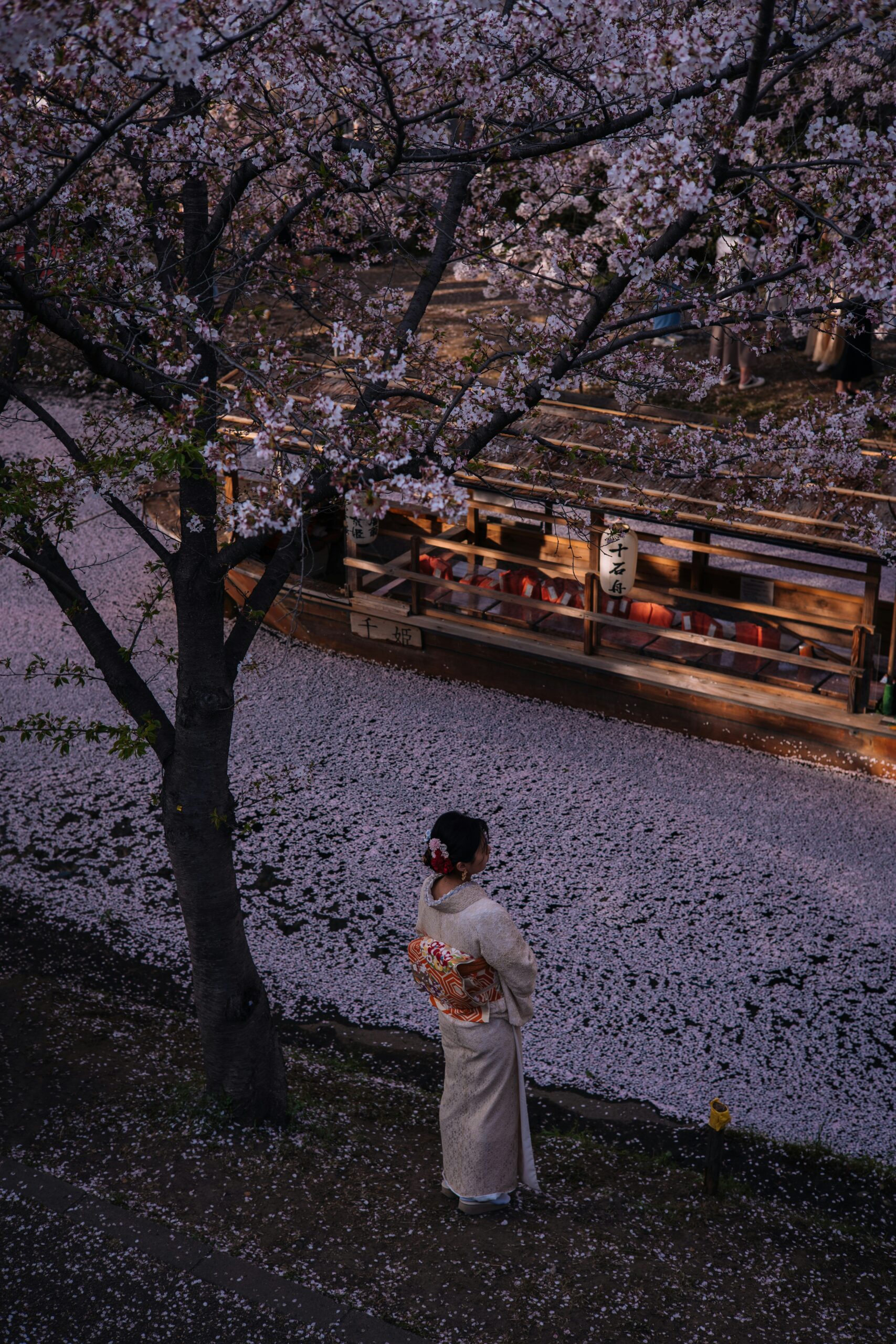 Recomendaciones climáticas: Usar kimono en días fríos y calurosos en Kioto