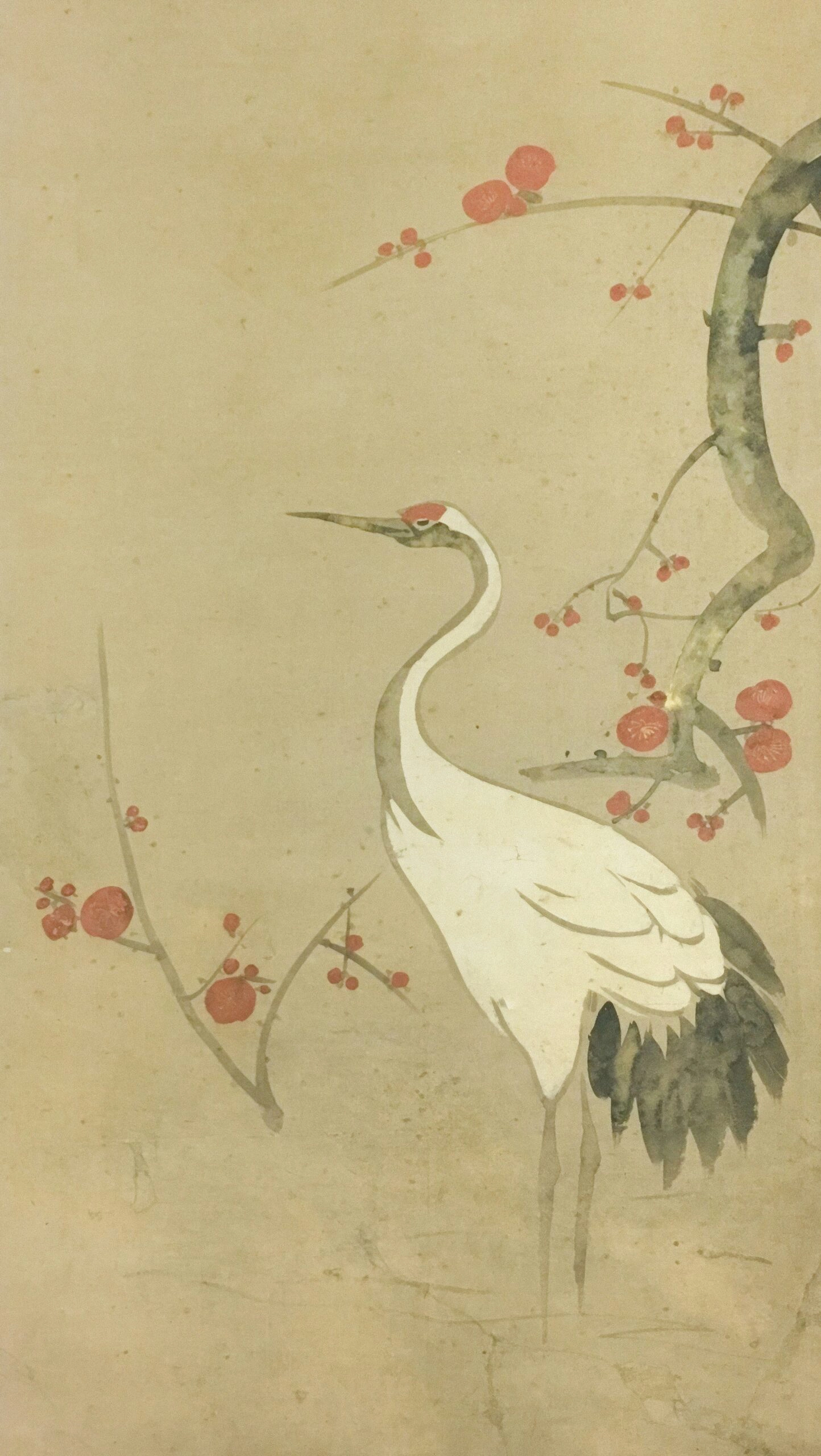 Galería visual del Museo del Kimono de Kioto