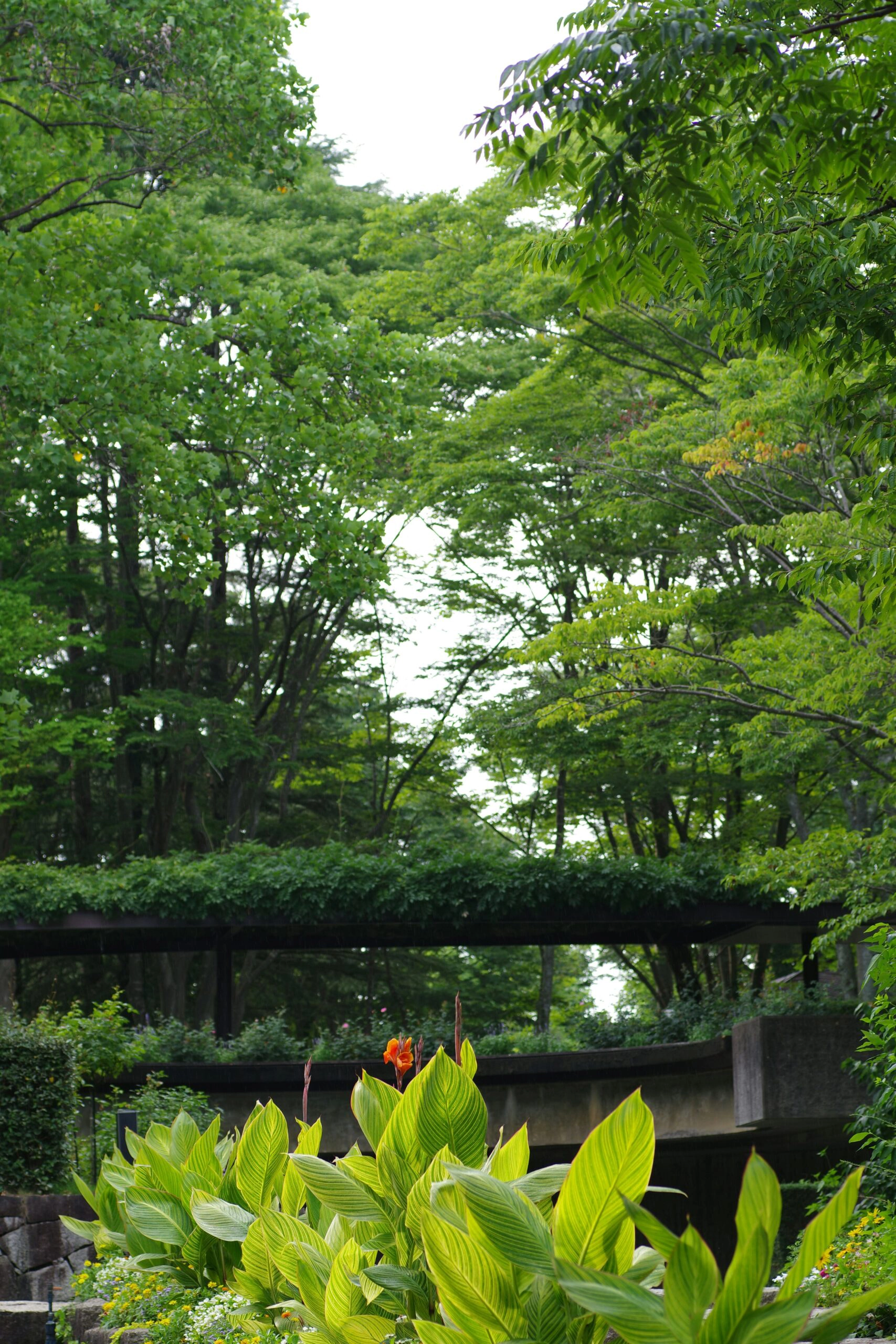 Picnic en un jardín japonés con kimono: elegancia y naturaleza